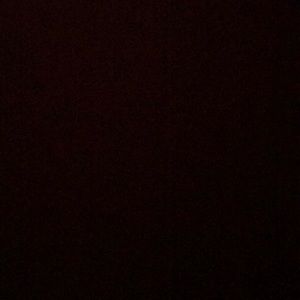 Meet your Posher, Dominique